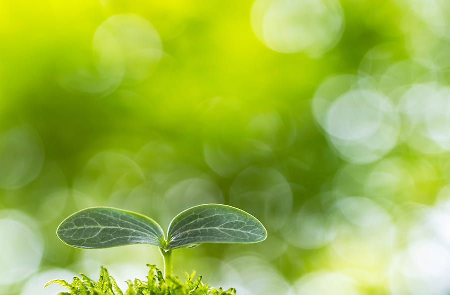 Environment